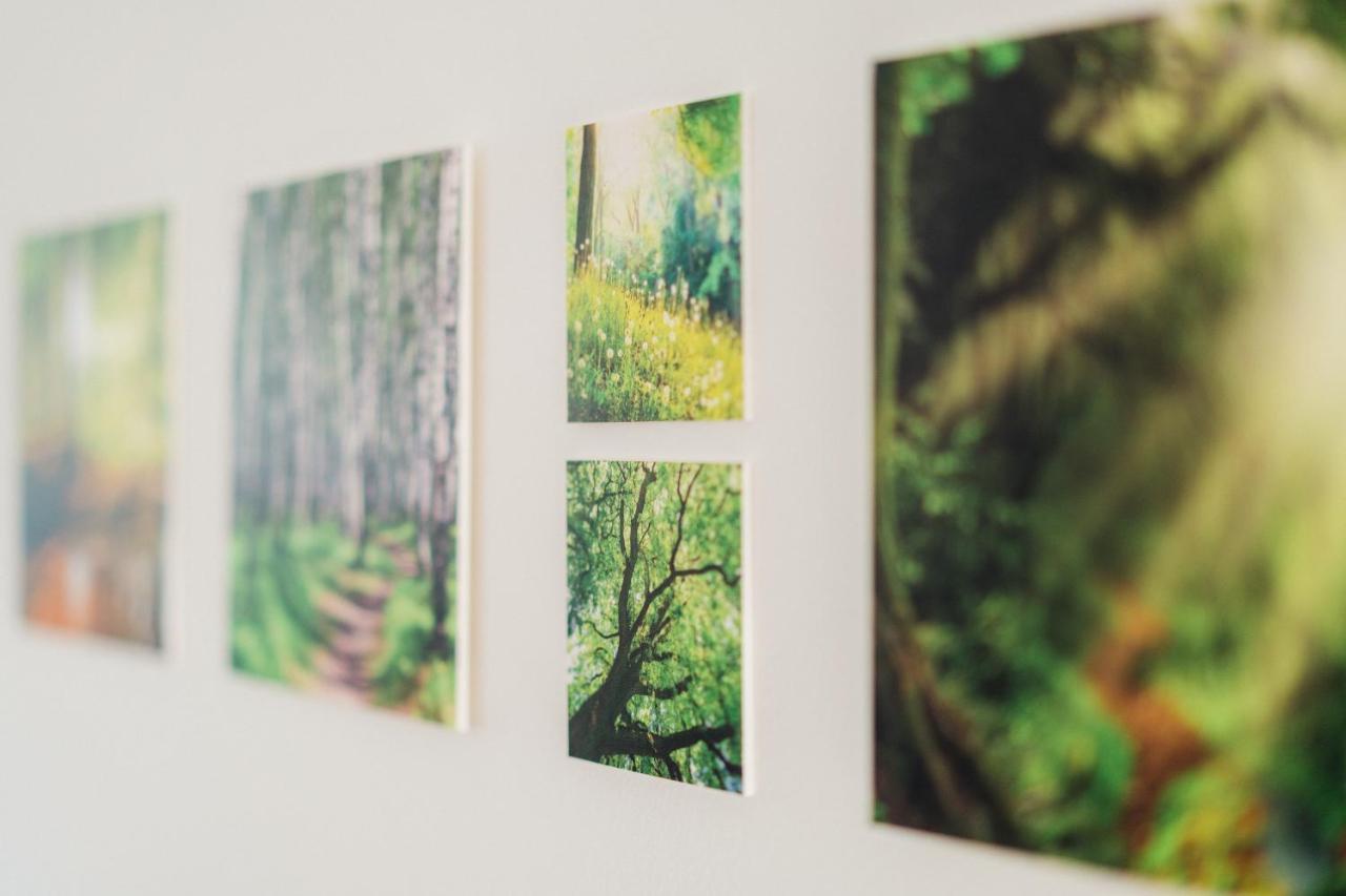 Ferienwohnung Kiefer ブラウンラーゲ エクステリア 写真